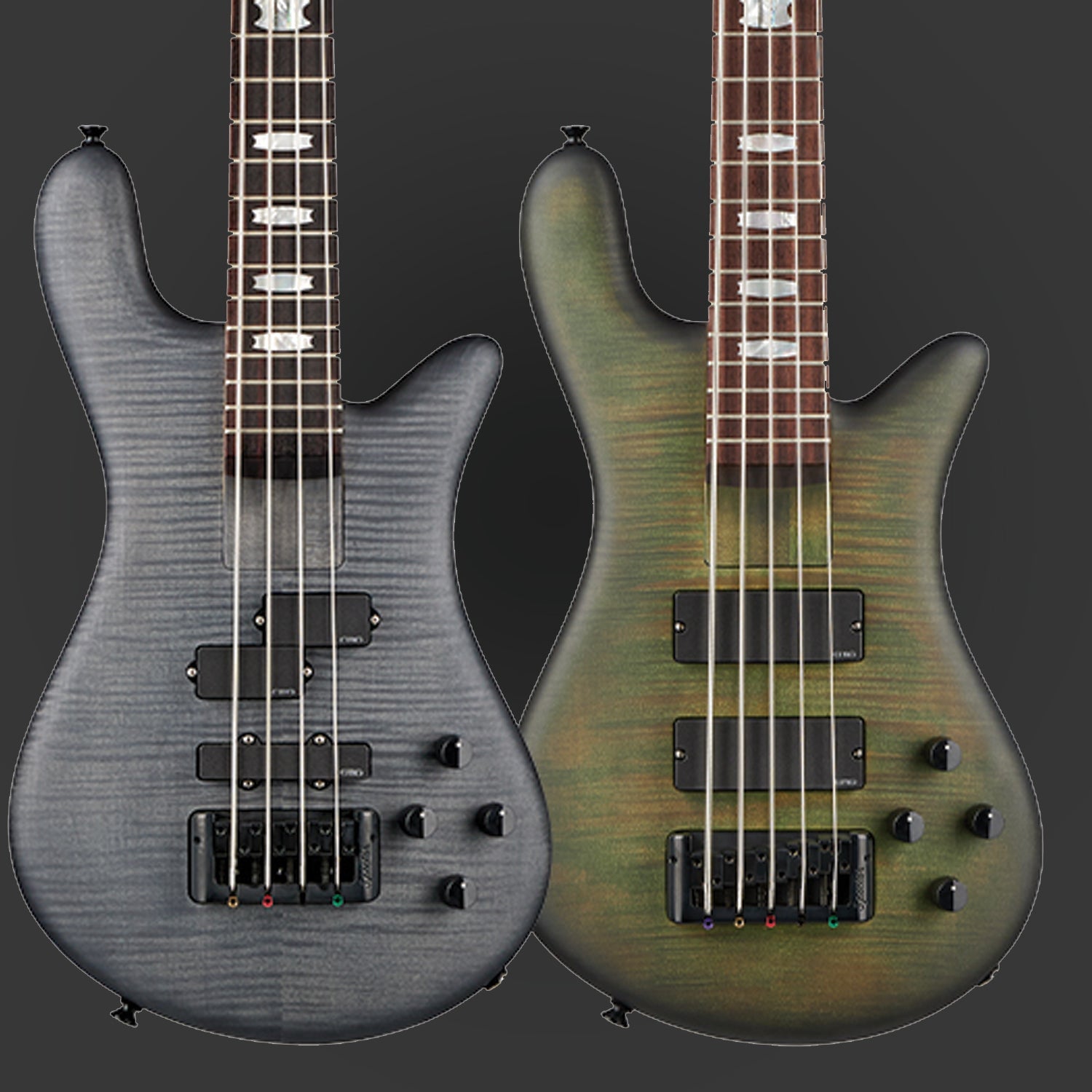 Euro LX Bolt-On Series – Spector Bass Shop