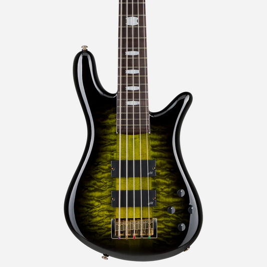 Icon NS-5 Neck Through