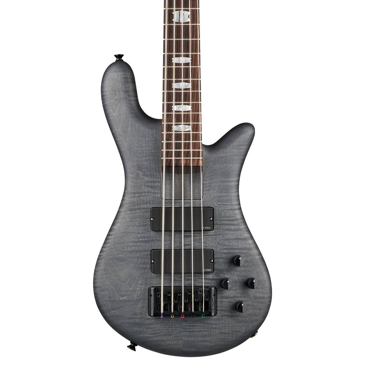 Euro LX Bolt-On 5 String – Spector Bass Shop