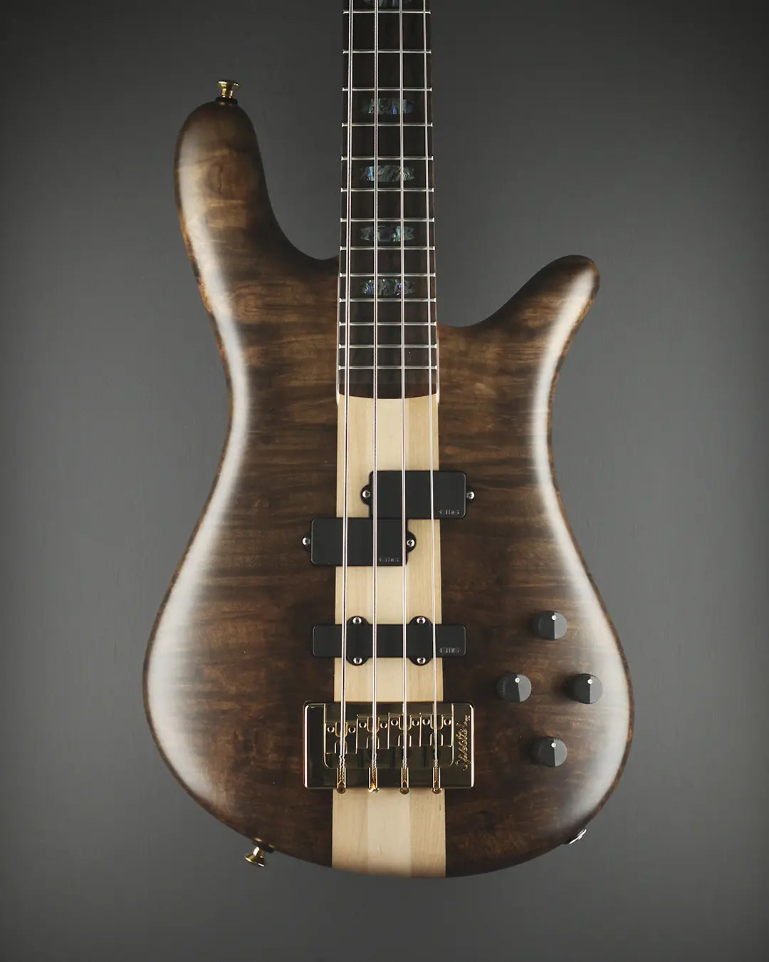 Spector Custom Bass Gallery – Spector Bass Shop