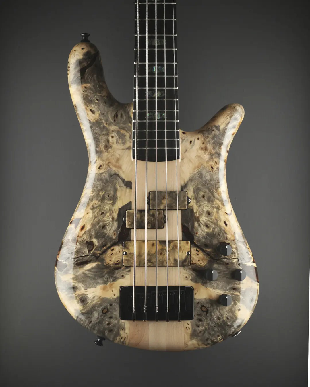 Spector Custom Bass Gallery – Spector Bass Shop