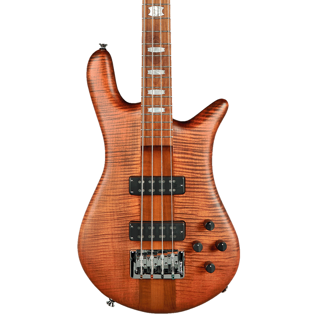 Spector Bass – Spector Bass Shop