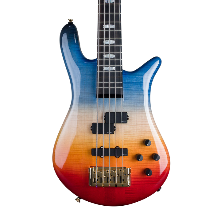 Dealer Exclusive - Chuck Levin's – Spector Bass Shop