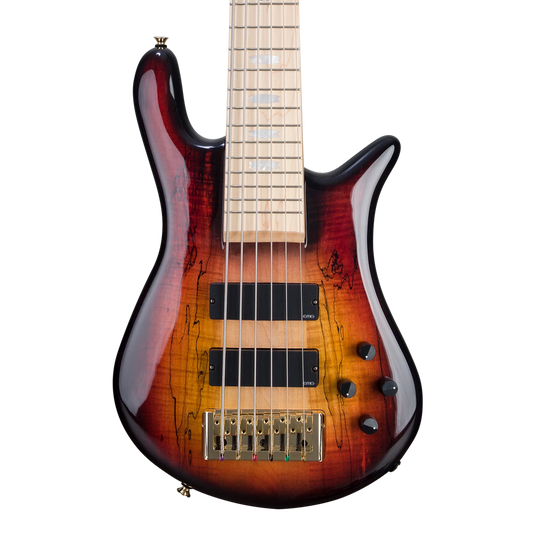 CHUCKSCLUSIVE Spector Euro 6 LT Spalted Maple Bass Guitar - Fire Red Burst