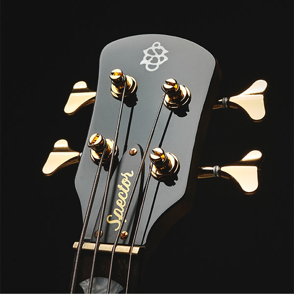 Icon NS-2 Bolt-On – Spector Bass Shop