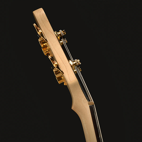 Icon NS-2 Bolt-On – Spector Bass Shop