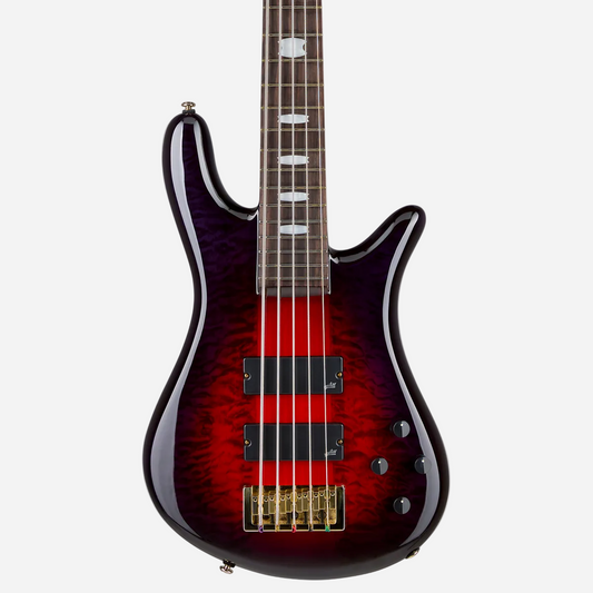 Icon NS-5 Neck Through