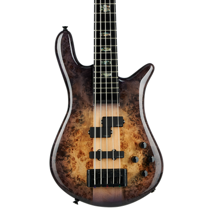 Euro CST 5 String