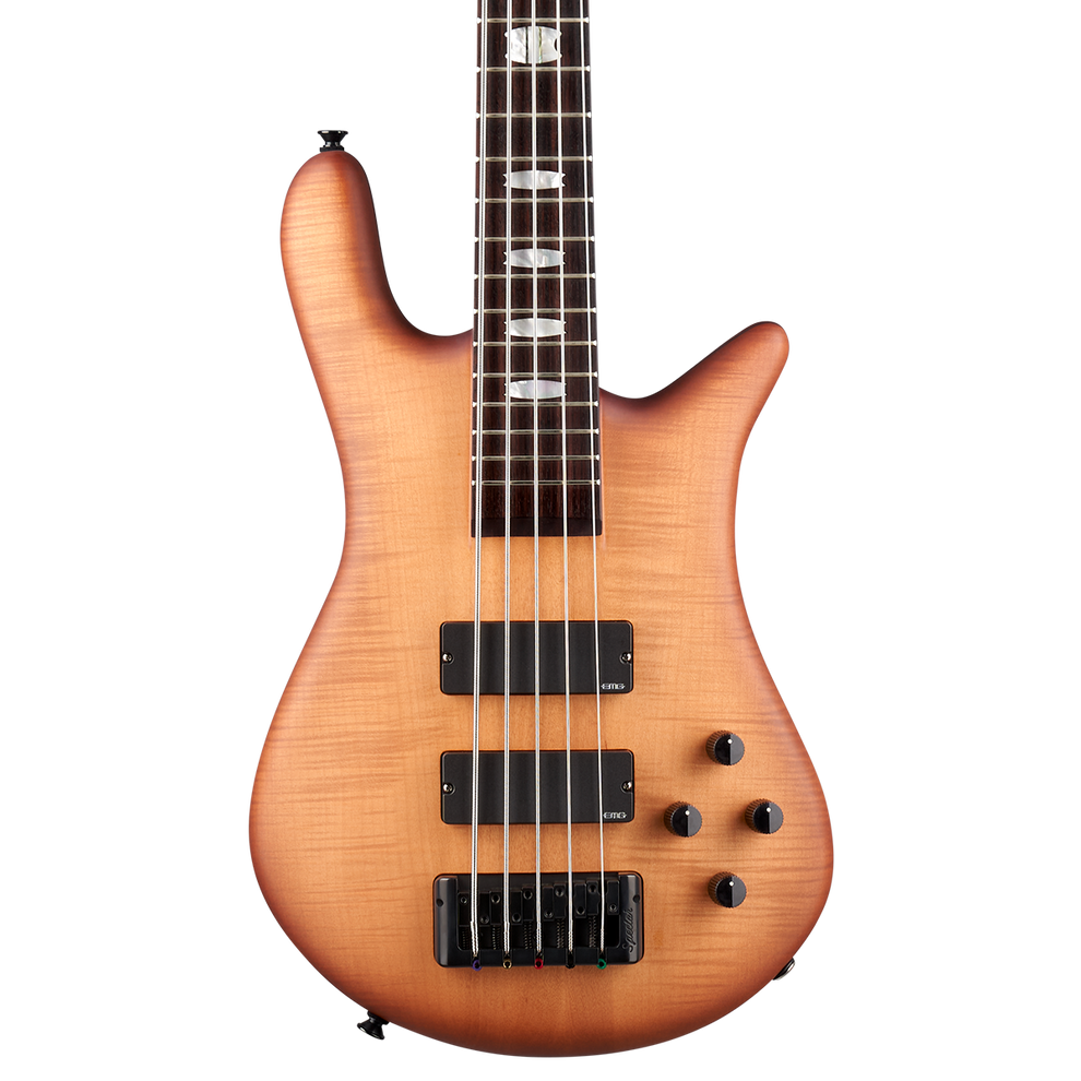 Euro LX Bolt-On 5 String – Spector Bass Shop