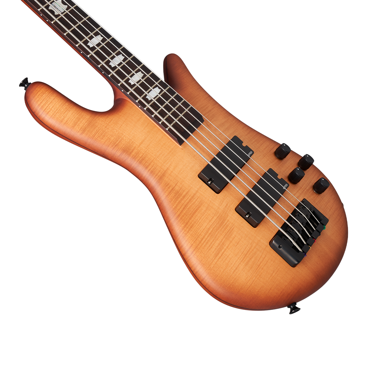 Euro LX Bolt-On 5 String – Spector Bass Shop