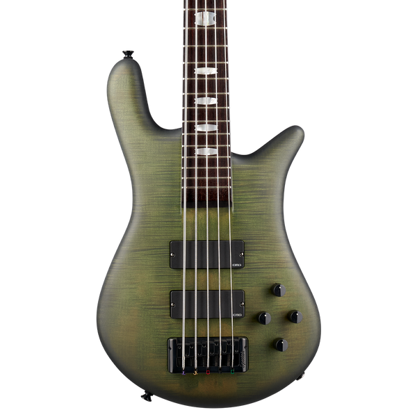 Euro LX Neck-Thru 5 String – Spector Bass Shop