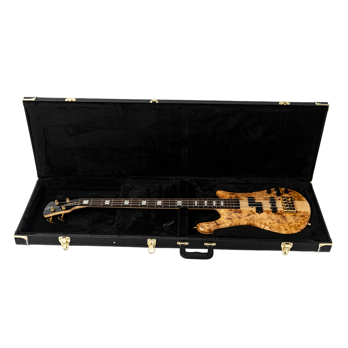 Open Compartment Spector Hardshell Case
