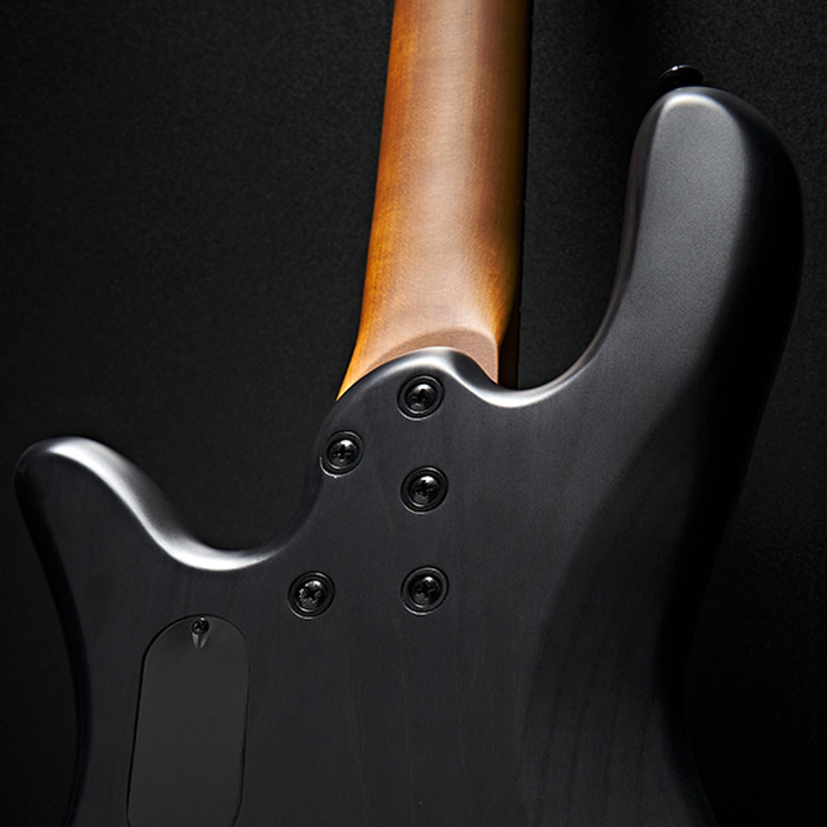 NS Pulse II 4 String – Spector Bass Shop