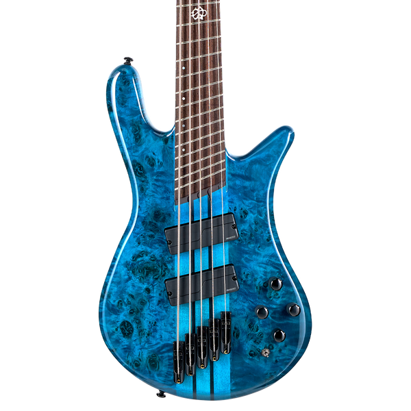 NS Dimension 5 – Spector Bass Shop