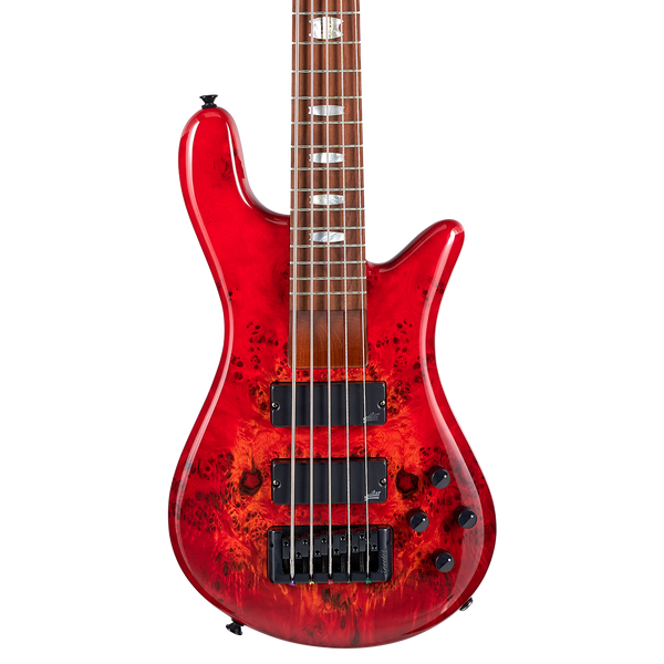 ベース spector EURO BOLT 5 aguilar EUROBOLT 5 – Spector Bass Shop