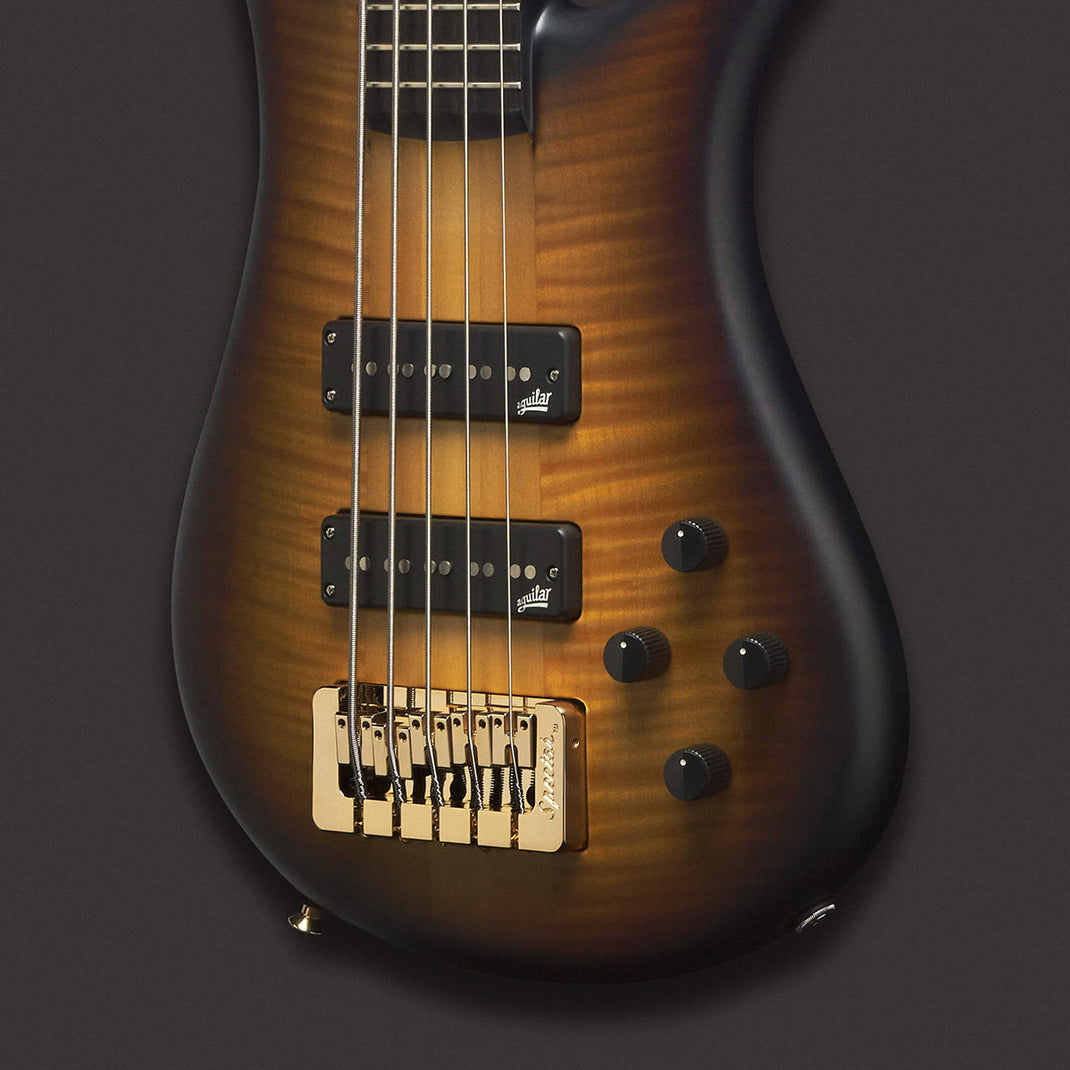 One Ns USA Custom Shop – Spector Bass Shop