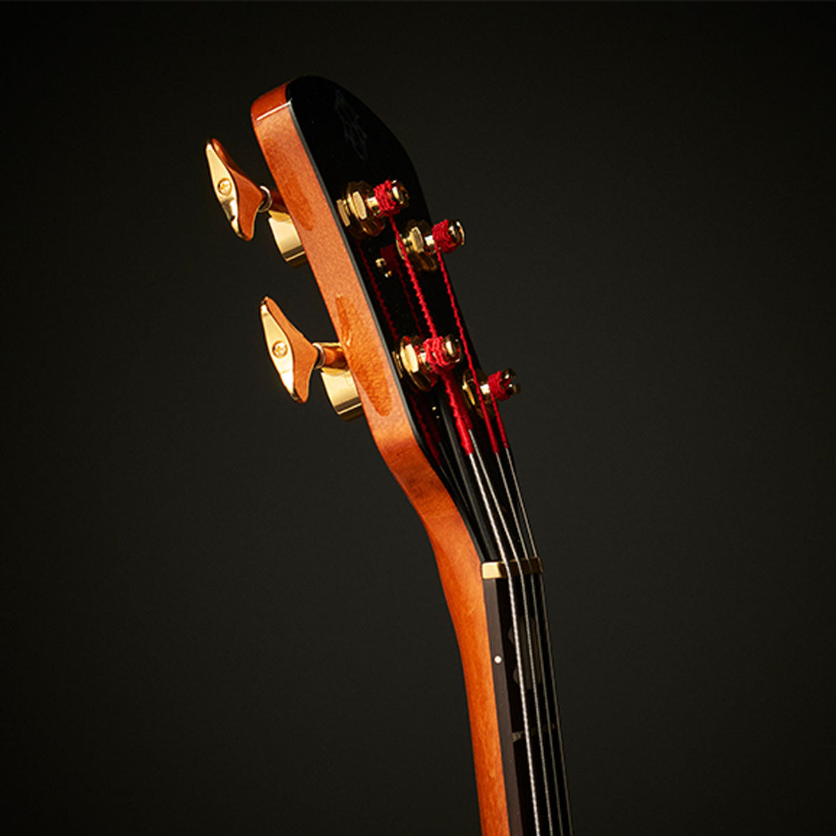Doug Wimbish Euro 4 Signature Model – Spector Bass Shop