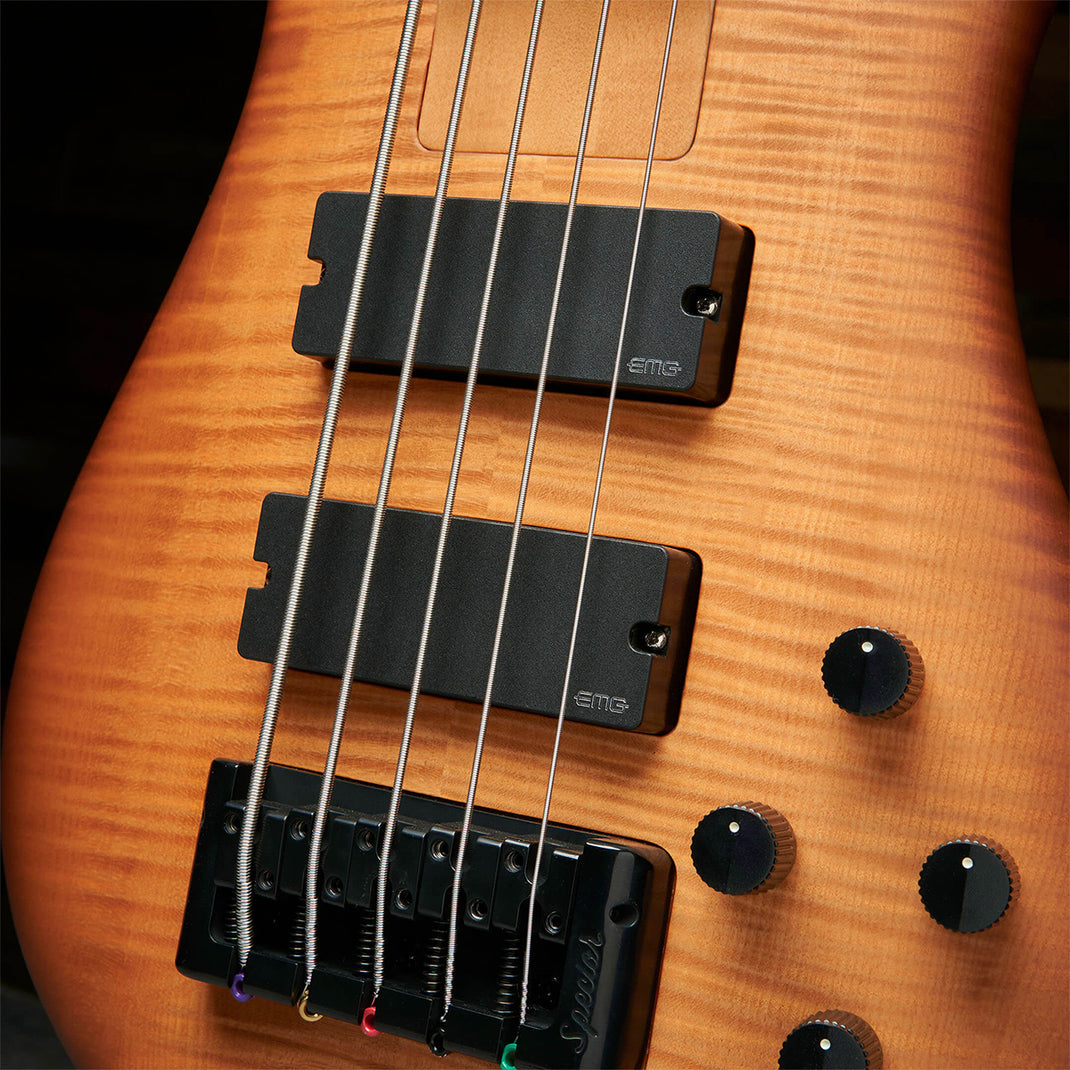 Euro LX Bolt-On 5 String – Spector Bass Shop