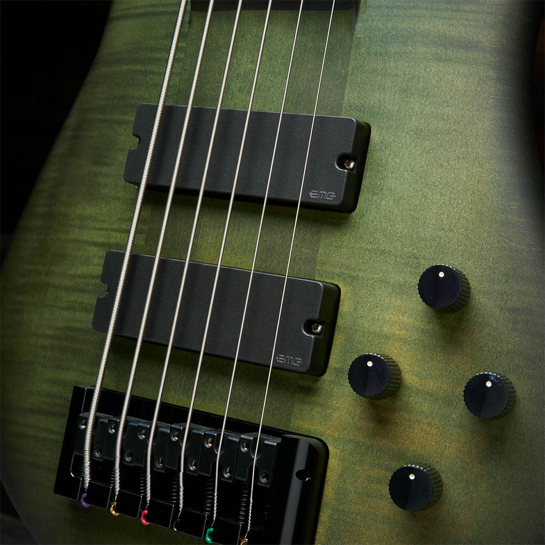 Euro LX Neck-Thru 6 String – Spector Bass Shop