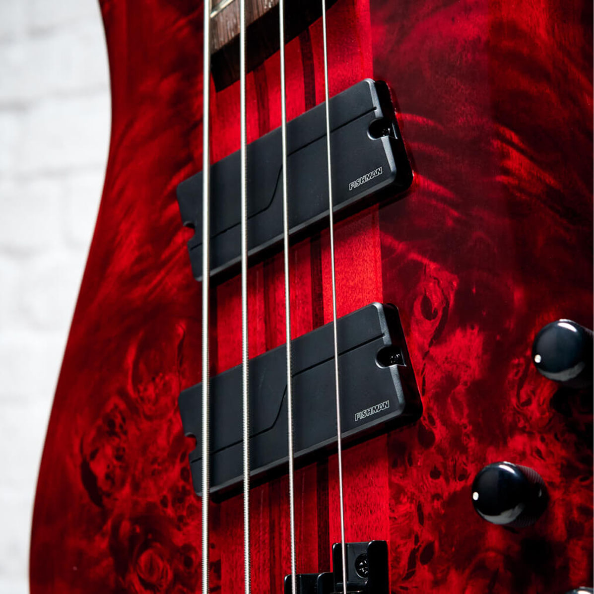 NS Dimension 4 – Spector Bass Shop