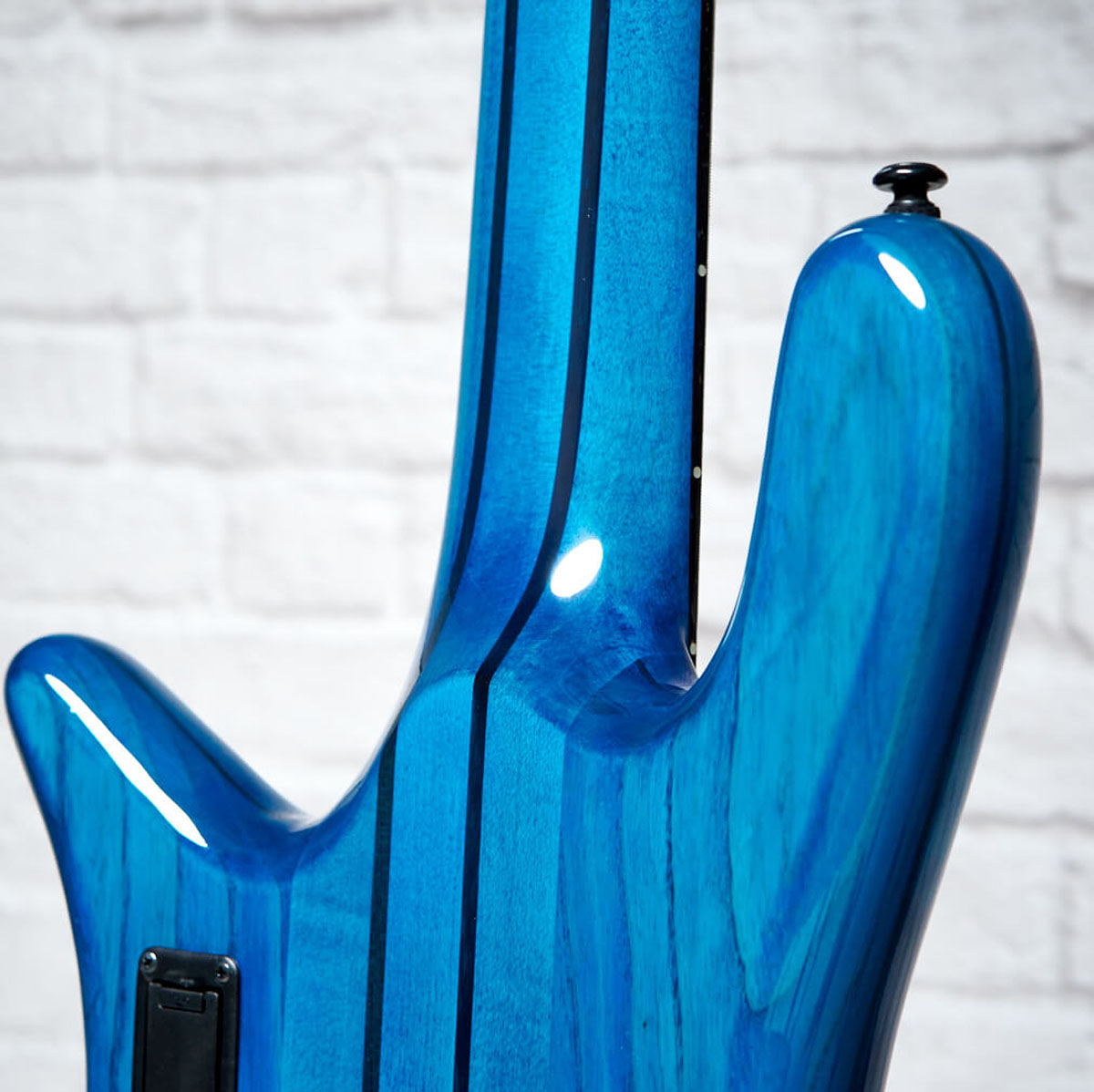 NS Dimension 5 – Spector Bass Shop